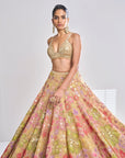 Multi-Coloured Gold Lehenga Set