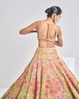 Multi-Coloured Gold Lehenga Set