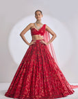 Red Trail Lehenga Set