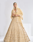 Gold Sequin Lehenga Set