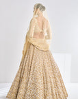 Gold Sequin Lehenga Set