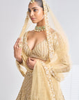 Gold Sequin Lehenga Set
