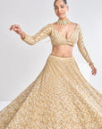 Gold Sequin Lehenga Set