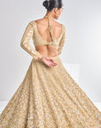 Gold Sequin Lehenga Set