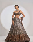 Chocolate Brown Lehenga Set