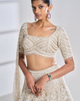 Nude Pearl Lehenga Set