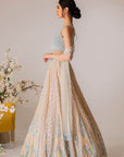 Champagne Embroidered Lehenga Set