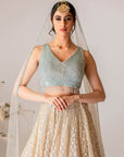 Champagne Embroidered Lehenga Set