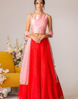 Red & Pink Embroidered Lehenga Set- Ready To Ship