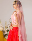Red & Pink Embroidered Lehenga Set- Ready To Ship