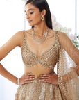 Biscotti Gold Sequin Lehenga Set
