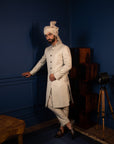 Sharp Chevron Sherwani