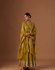 Olive Tissue Anarkali Paired With Churidaar And Dupatta
