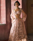 Dewblush Cocktail Lehenga