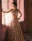 Dewblush Cocktail Lehenga