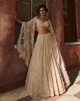 Alabloom Cocktail Lehenga