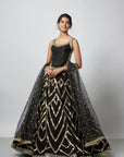 Prema Lehenga Set - Ready to Ship