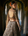 Copper Jade Lehenga Set