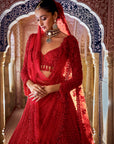 Red Cut Work Lehenga Set