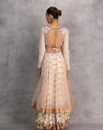 Blush Net Printed & Embroidered Anarkali Set