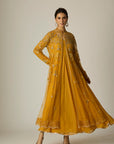 Mustard Chiffon & Tulle Embroidered Jacket Set
