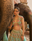 Avni Lehenga Set