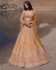 Clementine Lehenga Set