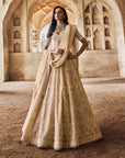 Greyish Ivory Meena Lehenga Set