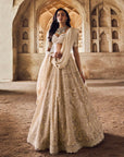 Greyish Ivory Meena Lehenga Set