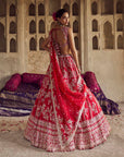 Red Roshini Lehenga Set