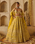 Yellowish Green Sneha Lehenga Set