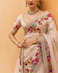 Zardozi Border Saree Set
