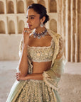 Blue Naina Lehenga Set