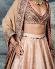 Blush Ivory Skirt Set | Baroda