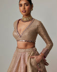 Deep Beige Multicolor V Neck Crop Top With Skirt