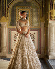 Ivory Gold Floral Lehenga Set