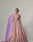 Lilac Gota Multicolor Heavy Metallic Lehenga With Cap Sleeve Blouse