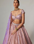 Lilac Gota Multicolor Heavy Metallic Lehenga With Cap Sleeve Blouse
