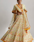 Aneha Lehenga Set