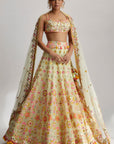 Reeva Mela Lehenga Set