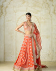 Ayat Lehenga Set