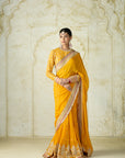 Dilruba Saree Set