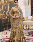 Mandira Lehenga Set with Sheeshya Veil