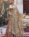 Arunima Lehenga Set with Chhavi Jaal Veil
