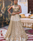 Rajbaraat Lehenga with Sheeshya Veil Set