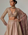Deep Beige Multicolor Skirt With V Neck Full Sleeve Blouse