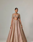Deep Beige Multicolor Mettalic Lehenga Set