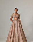 Deep Beige Multicolor Mettalic Lehenga Set
