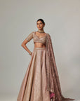 Deep Beige Multicolor Mettalic Lehenga Set