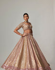 Deep Beige Multicolor Metallic Lehenga With Elbow Blouse